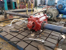 ƽM(jn)ƽ༉(j)L(zhng)ɳZWܜy(c)ԇ